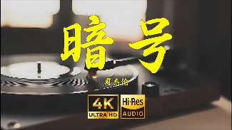 娱乐资讯